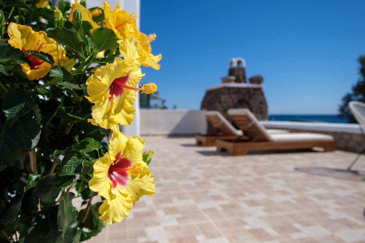 Beach Houses Santorini Kamári Dış mekan fotoğraf